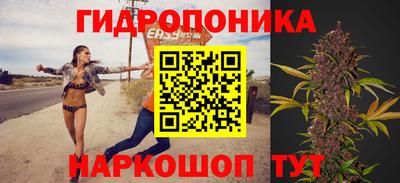трава Гай