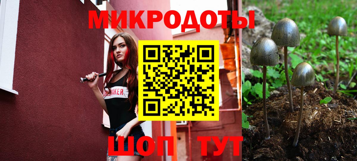 Новочебоксарск  Галлюциногенные грибы мухоморы  Галлюциногенные грибы Psilocybe  Вход с VPN 